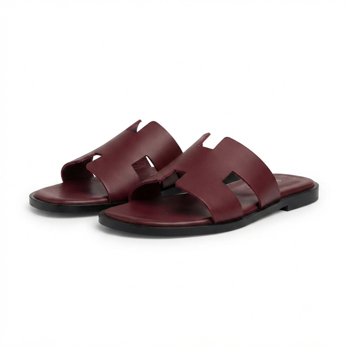 Terra Slides