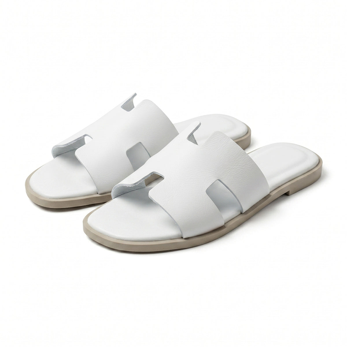Terra Slides