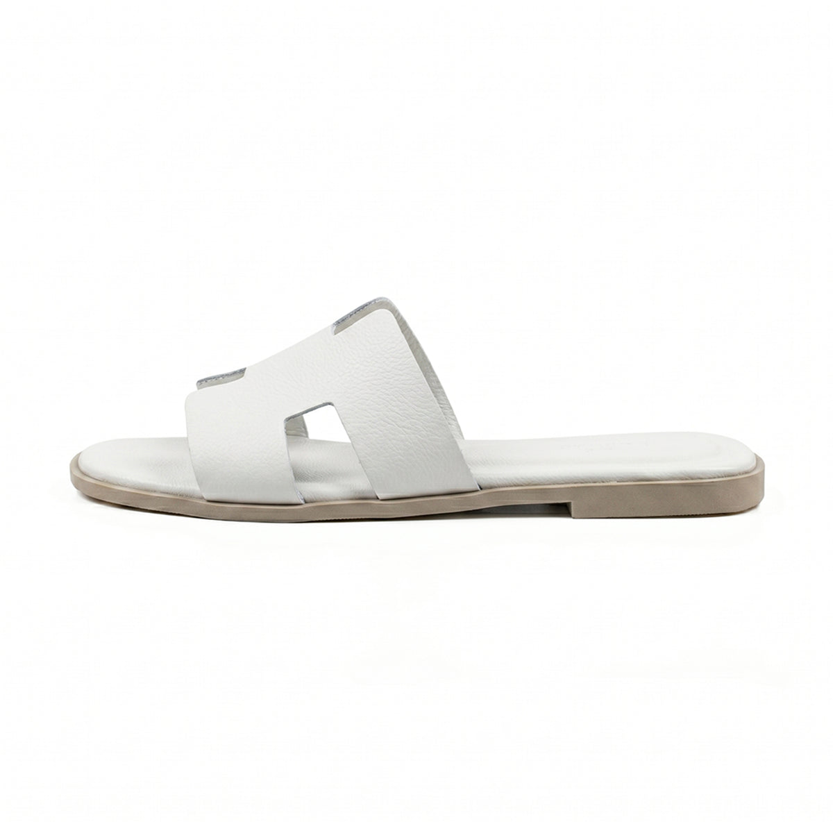 Terra Slides
