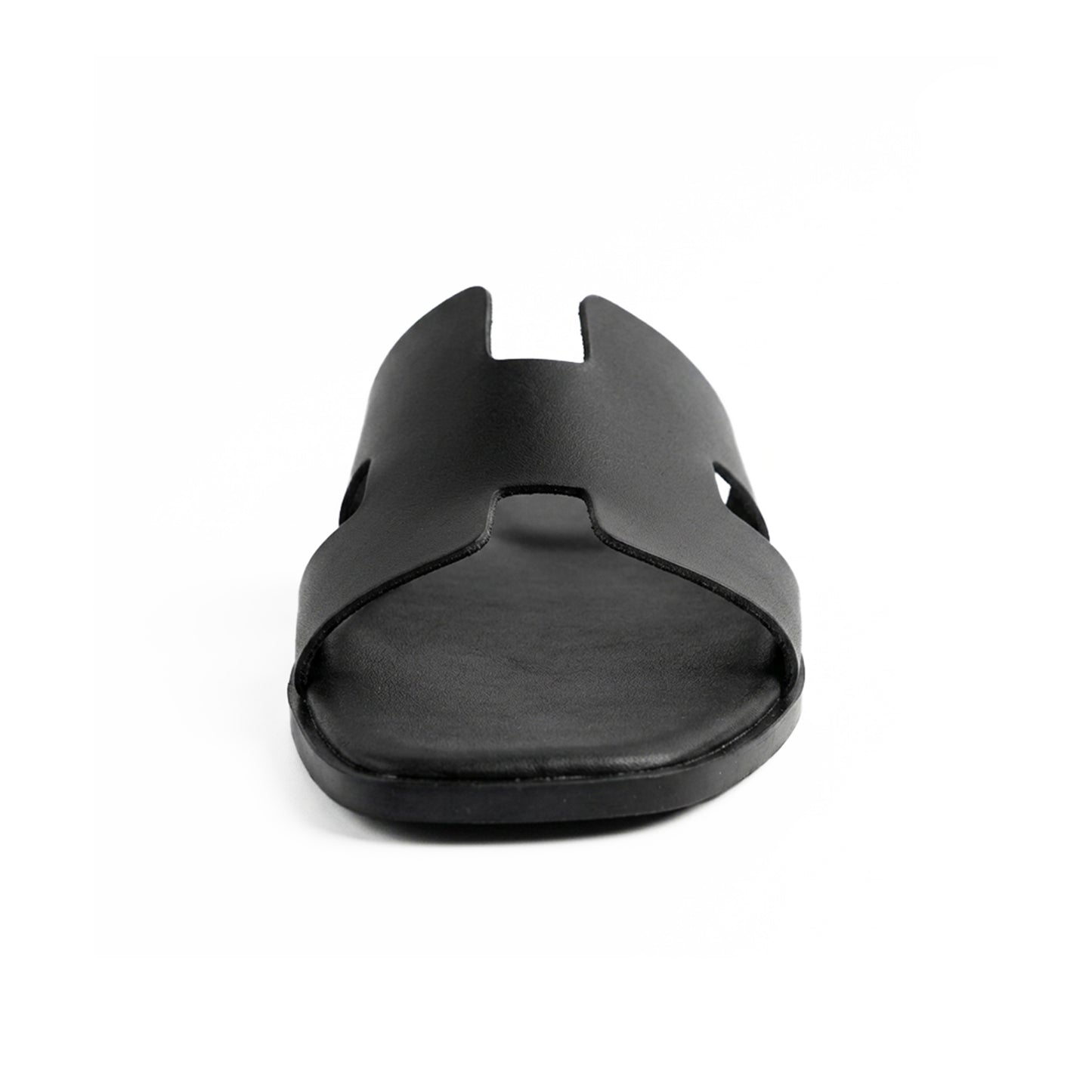Terra Slides