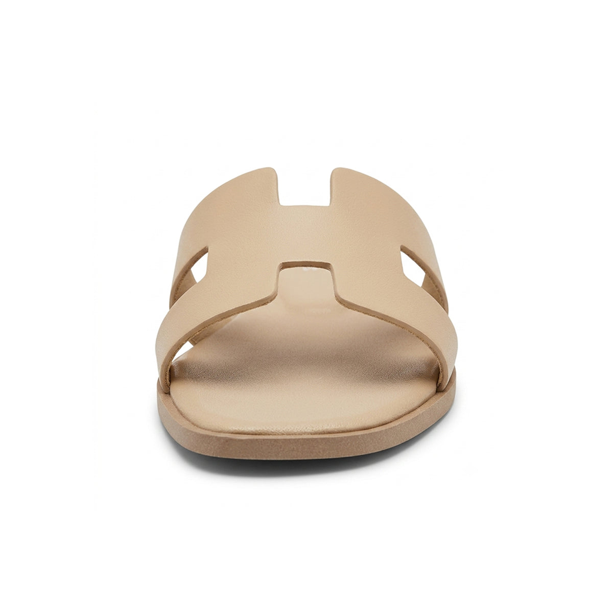 Terra Slides