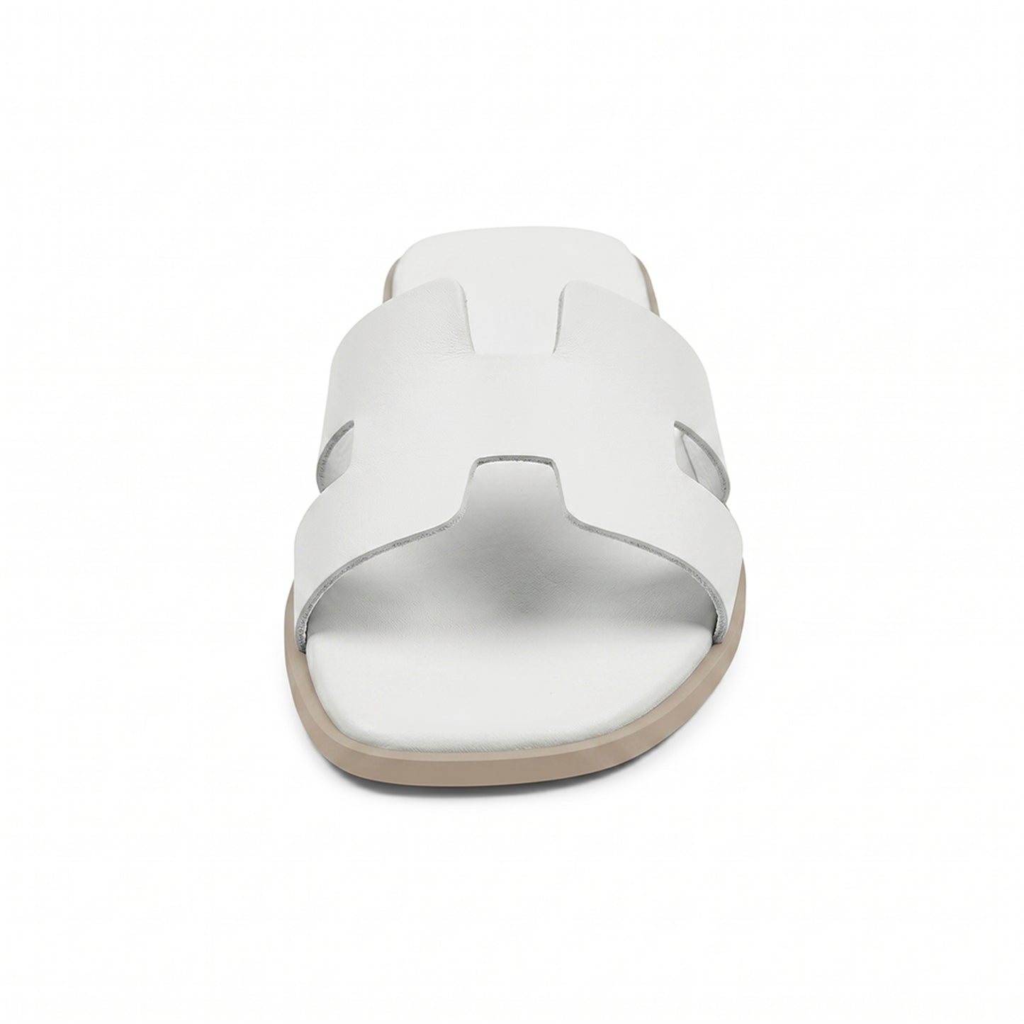 Terra Slides