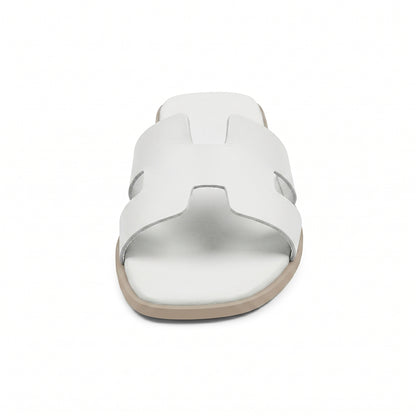 Terra Slides