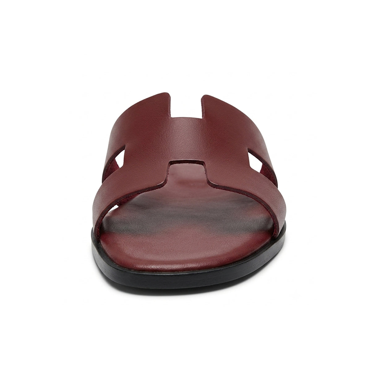 Terra Slides