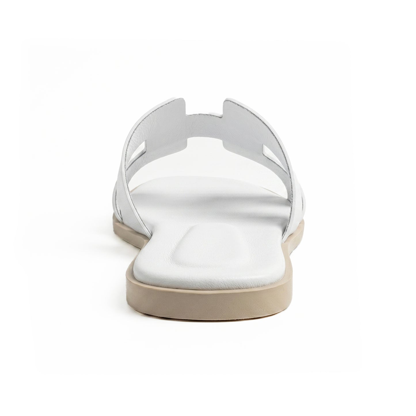 Terra Slides
