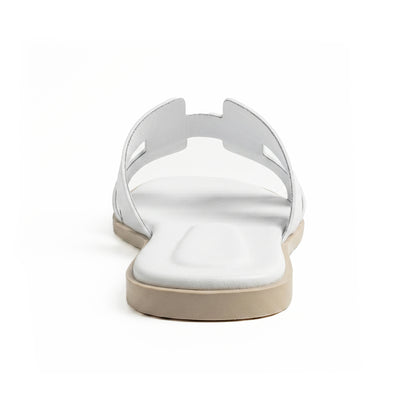 Terra Slides