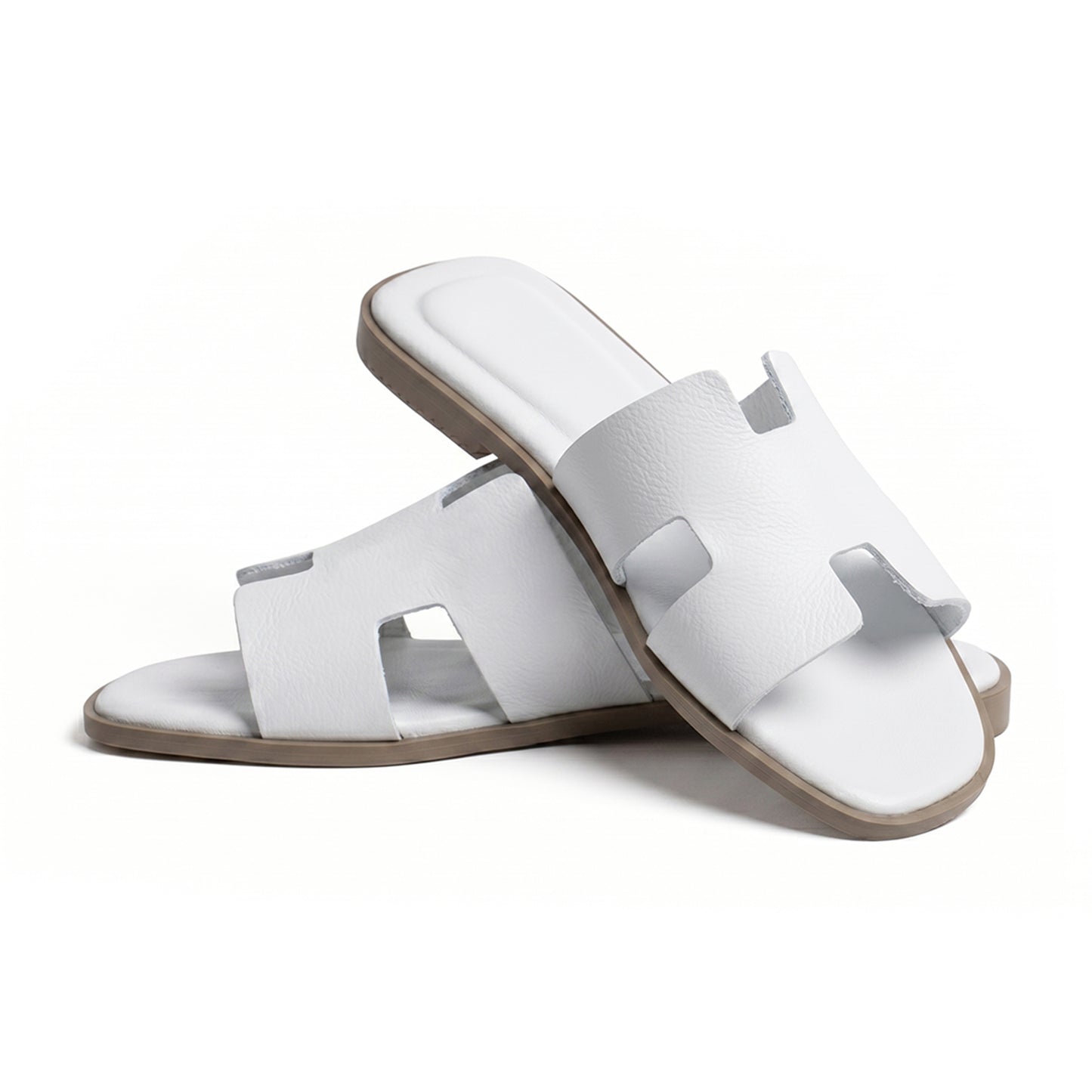 Terra Slides