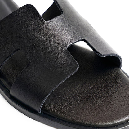 Terra Slides