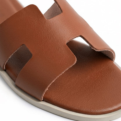 Terra Slides
