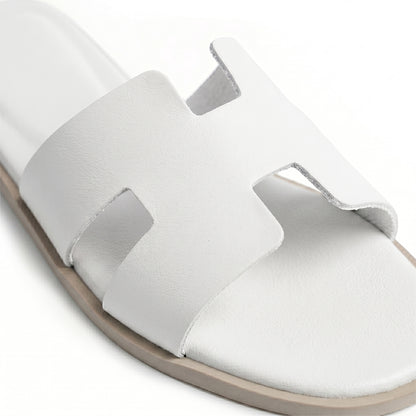 Terra Slides