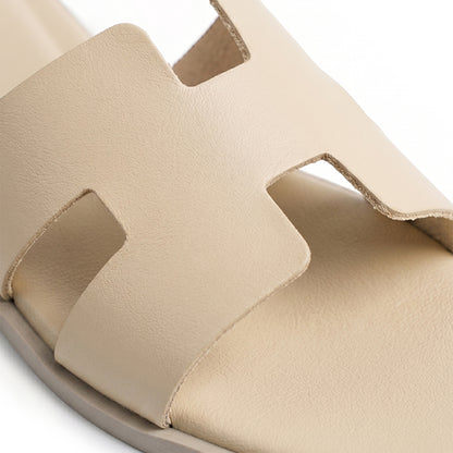 Terra Slides